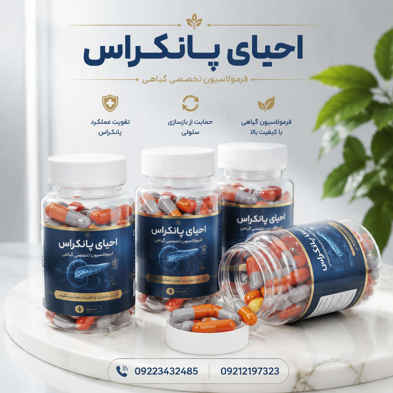 درمان دیابت نوع دو (دانش بنیان) 40 روزه باضمانت